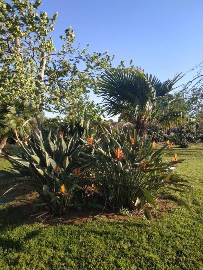 Elea Resort 2 Πρέβεζα Εξωτερικό φωτογραφία